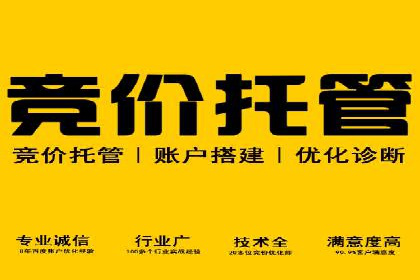 不同平台的信息流广告投放策略及成功案例对比
